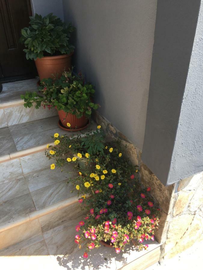 Apartmani Miljana Bar Exteriör bild